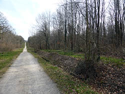 Laie de Campagne