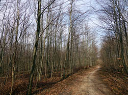 Chemin de la Queue de Campagne
