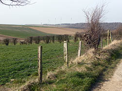 Le mont de Fiennes, depuis le mont de Guines