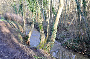 La vallée du Denacre