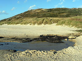 La plage d'Ecault