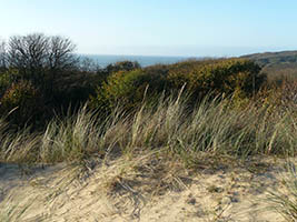 Dans les dunes d'Ecault
