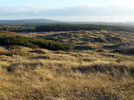 Zoom sur le mont Saint-Frieux