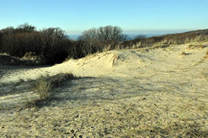 Dans les dunes d'Ecault