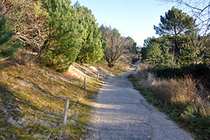 Le chemin des Juifs