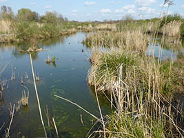 Le lac d'Hardelot