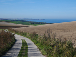 Chemin vers Haute-Escalles ; vue vers le Gris-Nez