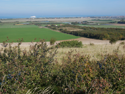 Vers Peuplingues ; vue vers la zone de polders