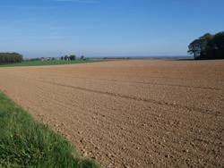 Vers Peuplingues ; grands champs