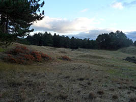 Les dunes de Saint-Frieux