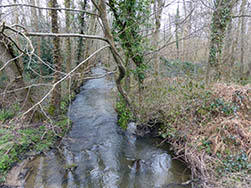 Ruisseau, près de Nesles