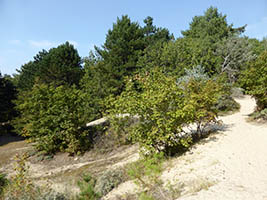 Les Garennes