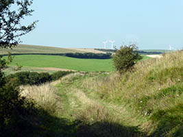 Sur la falaise