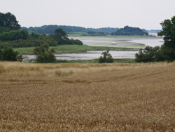 Vers Kergadec