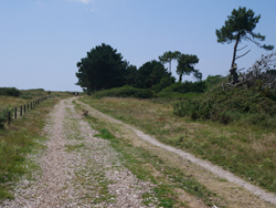 Plage de Kermil, derrière les dunes