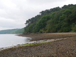La plage, au niveau de l'école navale de Lanvéoc