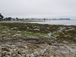 Le rivage à Loctudy