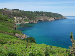 Anse Saint-Nicolas