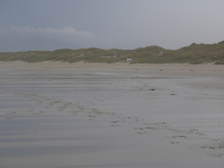 Plage de Porzh Karn ; le cordon dunaire