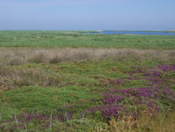 De l'étang de Trunvel à Pors Poulhan