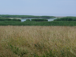 Etang de Kergalan