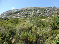 Falaises du plateau de Calern