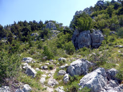 Plateau de Gréolières-les-Neiges