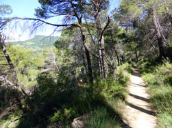 En chemin...