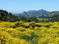Vue vers les dentelles de Montmirail