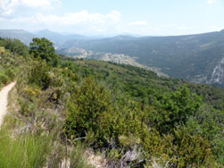 Au dessus de la Palud