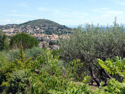 Manosque, le mont d'Or