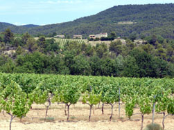 Entre Pierrevert et Montfuron