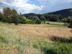 Riez ; vallée du Colostre