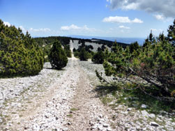 Piste vers le sommet du Ventoux