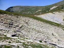 Stade de neige de Vauplane
