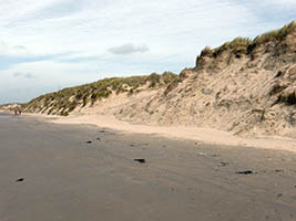 La plage, entre Sainte-Cécile et le ruisseau de Dannes