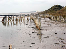 Protection du rivage ; est-ce suffisant ??