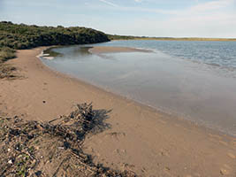 Le rivage, au platier d'Oye