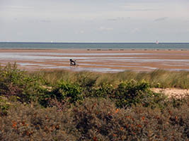 La plage, au platier d'Oye