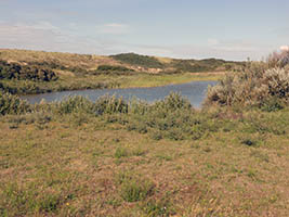 Dunes de Sangatte