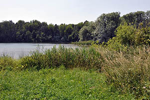 L'étang du Roi, à Camiers