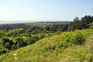 Dunes de Camiers
