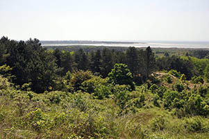 Dunes de Camiers ; point de vue vers l'estuaire de la Canche