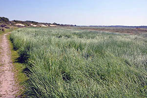 Estuaire de la Canche