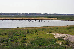 Vue vers le Touquet ; NB : les canards sont en plastique !