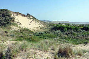 Estuaire de la Canche
